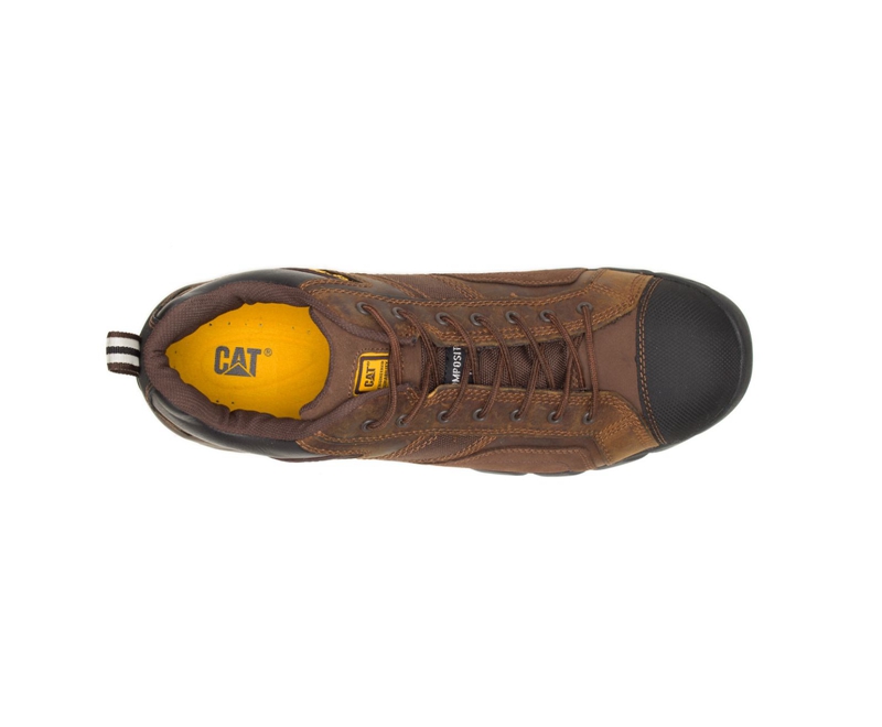 Caterpillar Argon Composite Neus Werkschoenen Heren Donkerbruin | WNRHV-2958