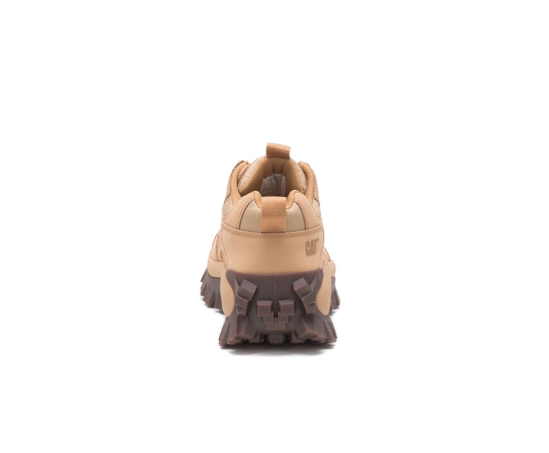 Caterpillar Intruder Vrijetijdsschoenen Dames Donkerbeige | DBACY-1360
