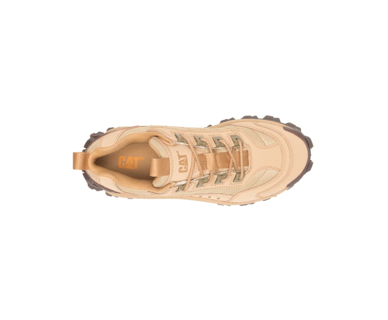 Caterpillar Intruder Vrijetijdsschoenen Dames Donkerbeige | DBACY-1360