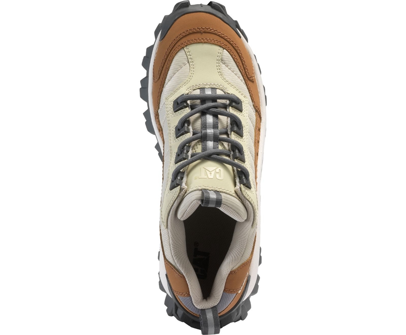 Caterpillar Intruder Vrijetijdsschoenen Heren Gekleurd | SFAWH-5801