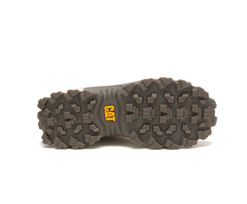 Caterpillar Intruder Vrijetijdsschoenen Dames Grijs | XMBGR-5197
