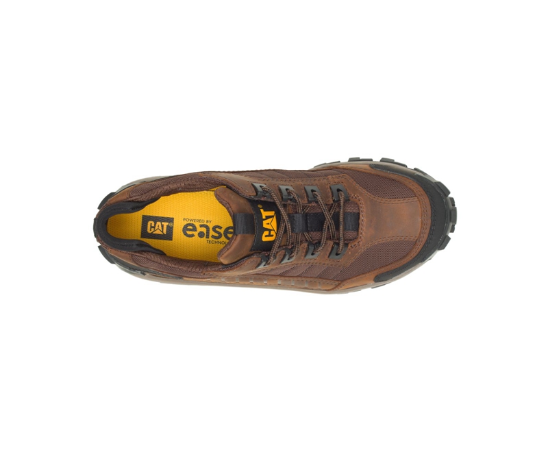 Caterpillar Invader Steel Neus Werkschoenen Heren Donkerbruin | JXEOL-5879