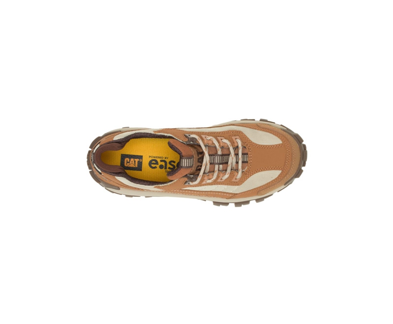 Caterpillar Invader Steel Neus Werkschoenen Dames Bruin | VNLYK-4972