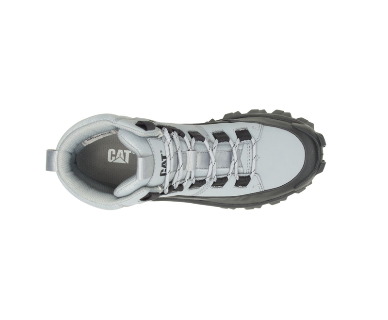Caterpillar Trespass Galosh Waterdichte Laarzen Heren Zwart Blauw | PYAMG-9571